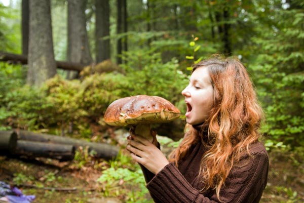Mushroom tour Carpathians
