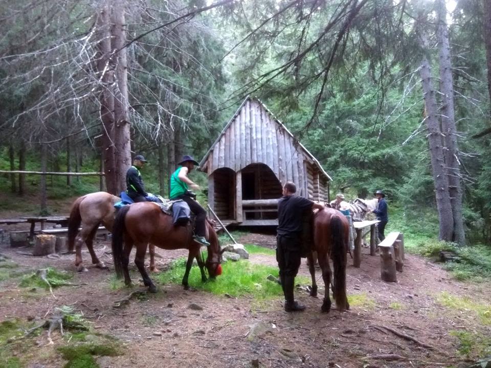 hunters cabin maricheyka lake horse tour observatory