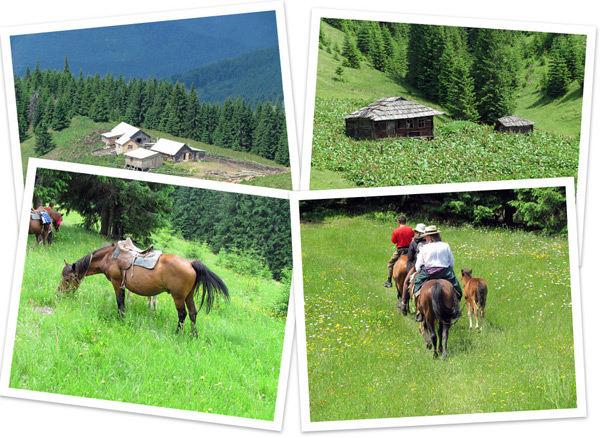 Pferdreitentour in den Karpaten