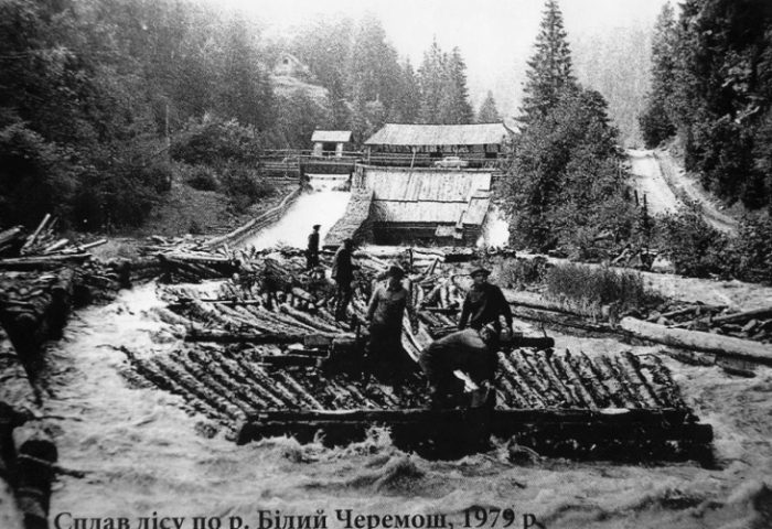 History of forest alloy in Carpathians